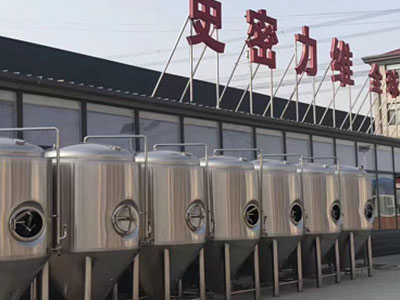 饶河精酿啤酒设备厂—市场规模与跨界新需求